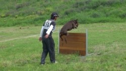 20120429144353 (10)
