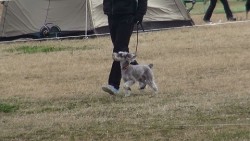 20130303112339(3)