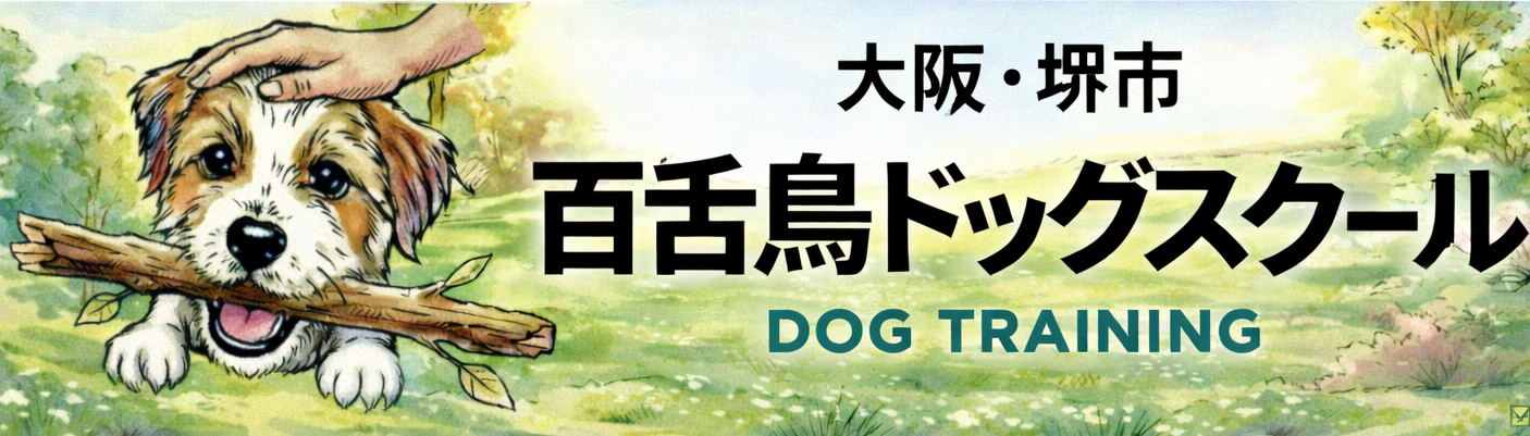 【大阪の堺市犬のしつけ・訓練】百舌鳥ドッグスクール