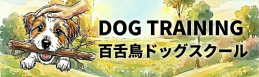 【大阪の堺市犬のしつけ・訓練】百舌鳥ドッグスクール